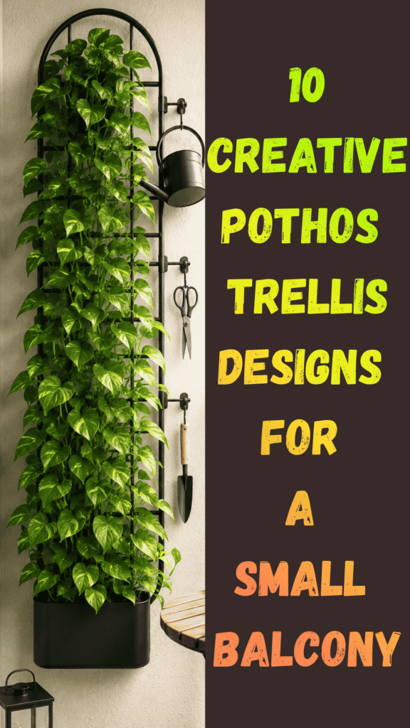 Pothos Trellis Ideas